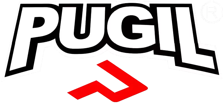 Pugil Professional Boxing